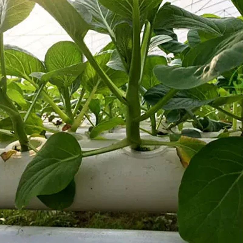 Hydroponic Kit - Topraksız Yetiştirme Sistemi Seti, PVC Borulu
