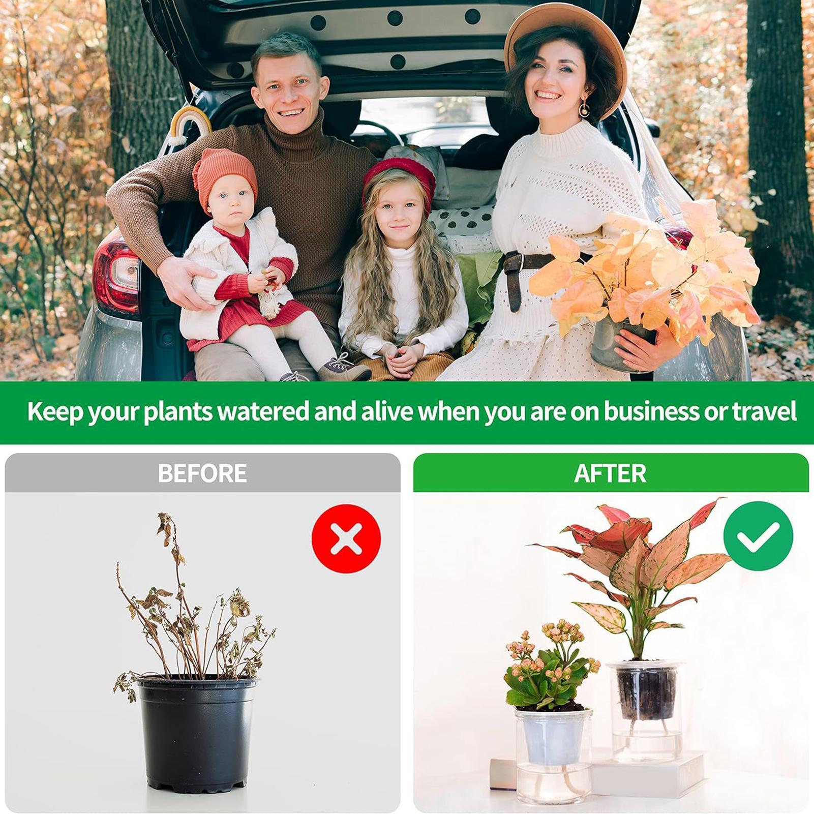 Kendi Kendine Sulamalı Bitki F - Self Watering Planter incelemesi ve fiyatı