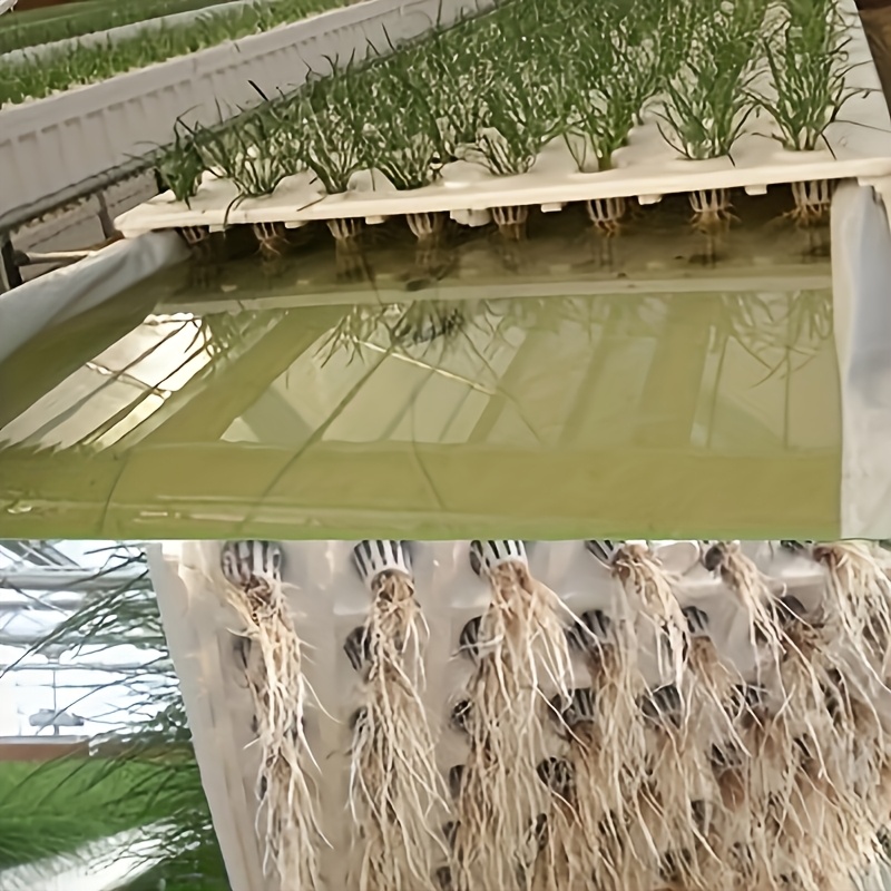10 adet Topraksız Fide Sepeti  - Seed Starter Tray incelemesi ve fiyatı