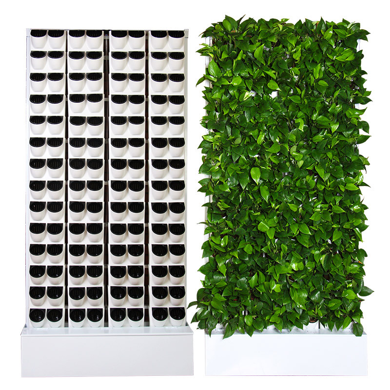 2 Metrekarelik Duvara Monte Hi - Hydroponic Kit incelemesi ve fiyatı