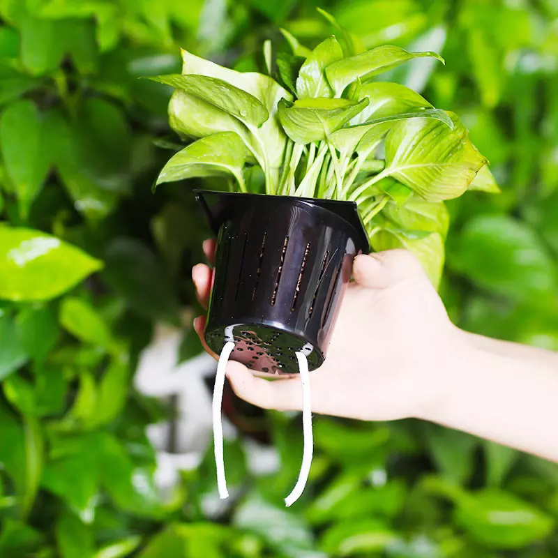 2 Metrekarelik Duvara Monte Hi - Hydroponic Kit incelemesi ve fiyatı