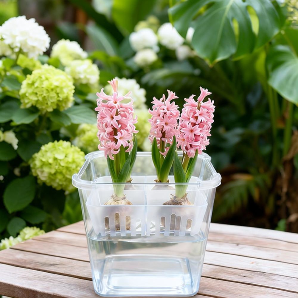 Lale ve Zambak Bulunduğunda Ku - Plant Pot incelemesi ve fiyatı
